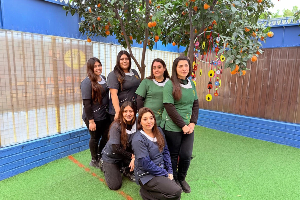 inicio card equipo educativo 1 copia